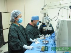 宠物眼内充填材料的手术方法