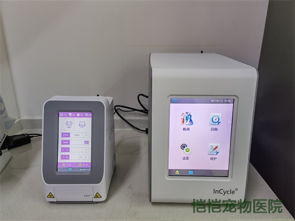 荧光免疫分析系统