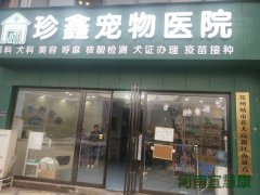 珍鑫宠物医院装机宜慧康PCR并培训成功