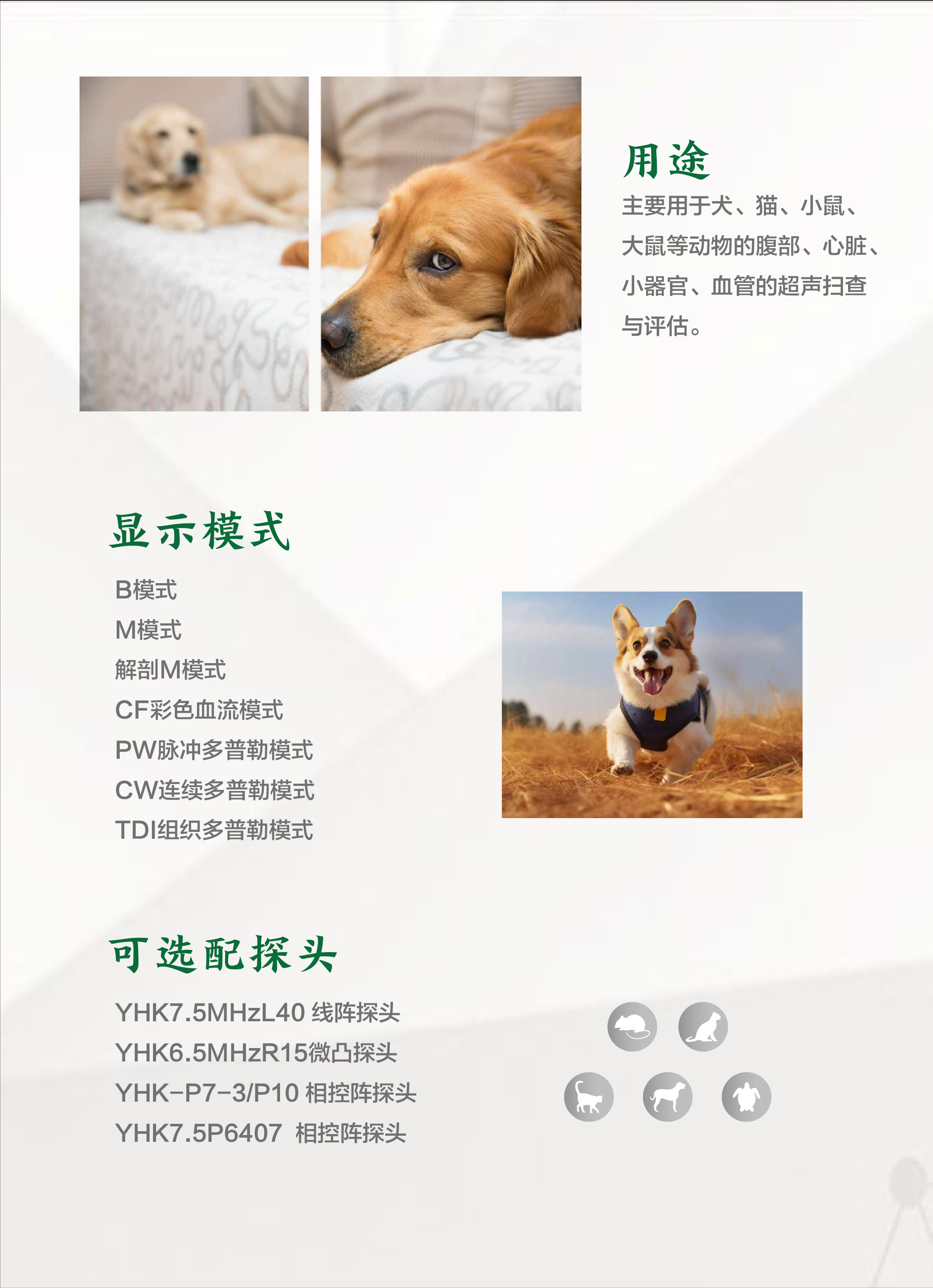 宜慧康YHK-DY30动物彩色多普勒超声诊断仪