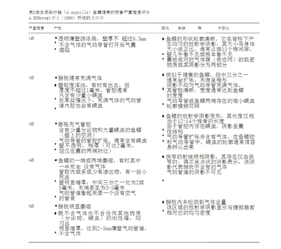 欧洲鳗鲡感染评估的比较成像