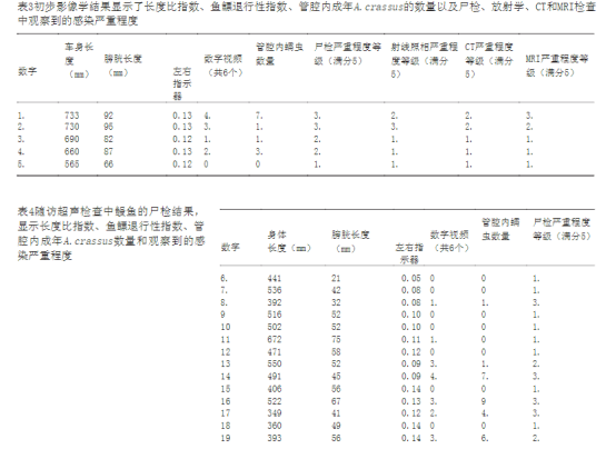 欧洲鳗鲡感染评估的比较成像
