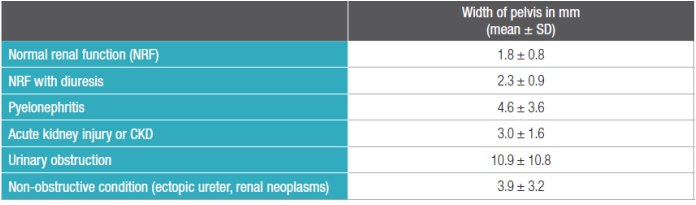 不同临床情况下的肾盂大小 不同临床情况下的肾盂大小