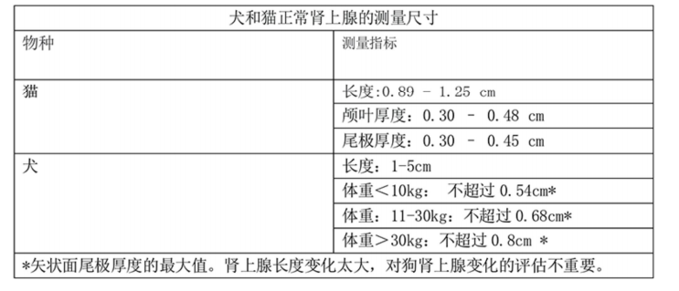 犬和猫正常肾上腺的测量尺寸 犬和猫正常肾上腺的测量尺寸