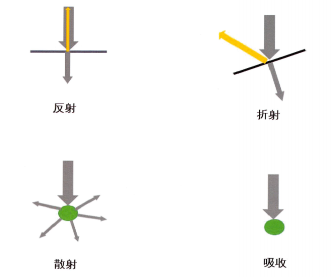 超声波在动物体内可能会发生反射、折射、散射、吸收。