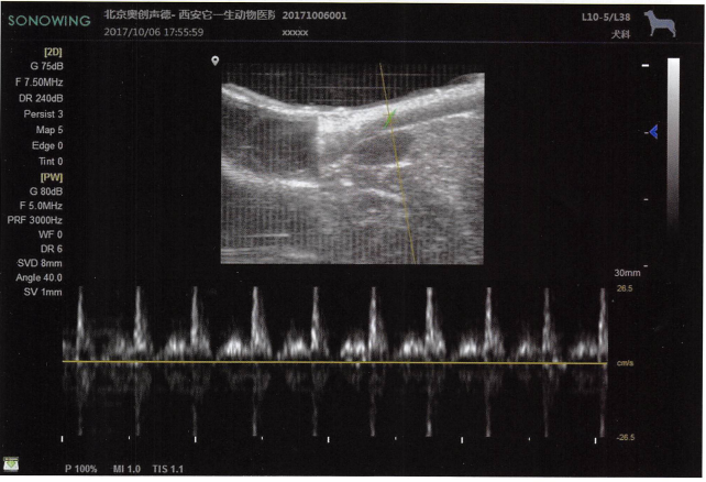 使用此种方法自制的增距垫，扫查犬的股动脉，得出的清晰PW图像。