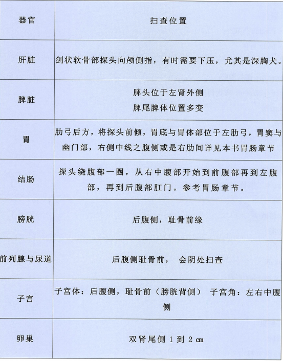 宠物各器官的扫查位置