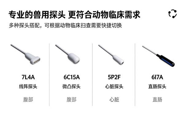 兽用超声探头怎么选？微凸阵、线阵、相控阵的区别与适用场景