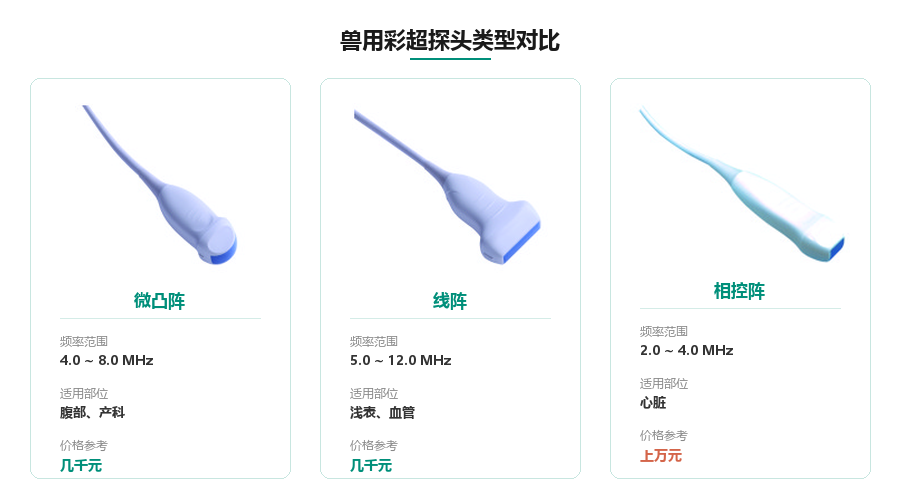 动物超声价格多少钱？影响兽用彩超定价的5大因素(图2)