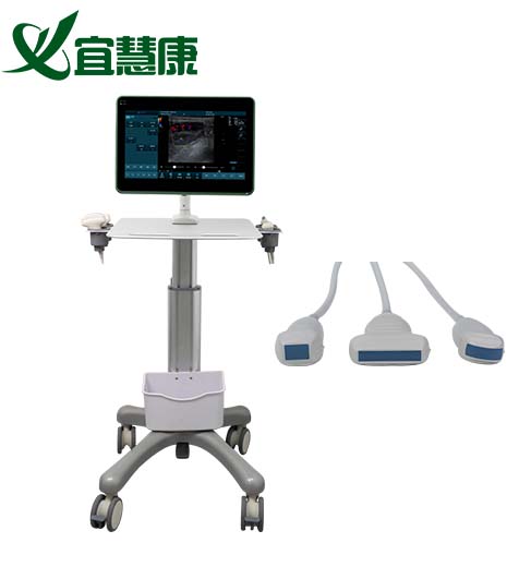 宠物诊所为什么要开展腹部超声？设备选型与临床价值解析